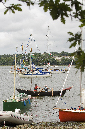 MHPA%20Seafair%2010%2036517NM