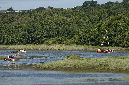 MHPA%20Seafair%2010%2036187NM